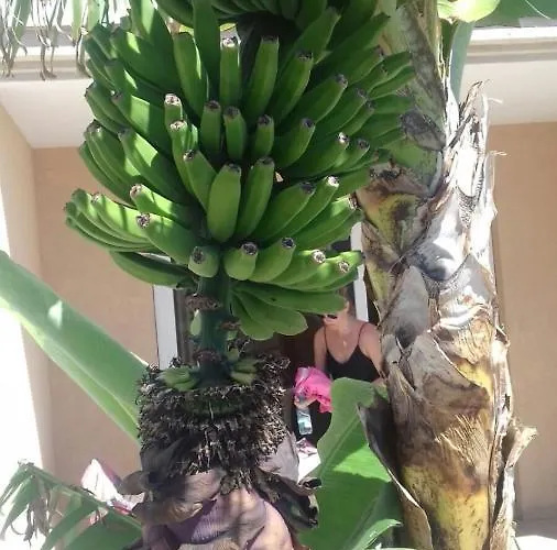 Parque Carolina Estudio 203 Apartment *