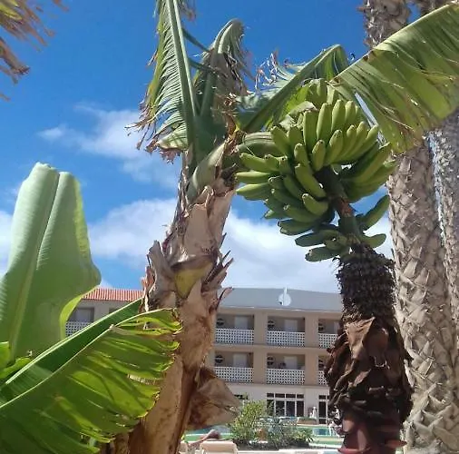 Parque Carolina Estudio 203 Apartment *