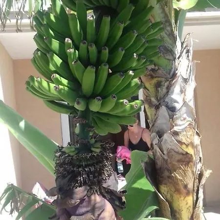 Parque Carolina Estudio 203 Apartamento *