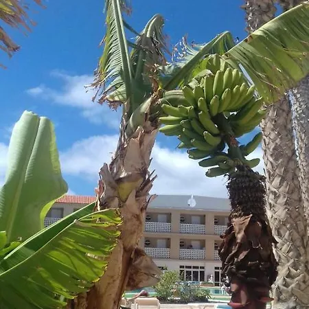 Parque Carolina Estudio 203 Apartamento *